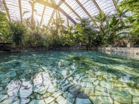 Center Parcs Park Erperheide - Belgisch Limburg