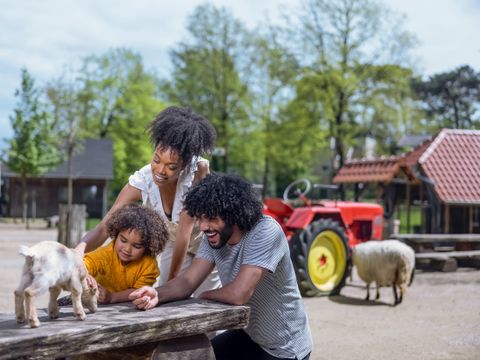 Center Parcs Park Erperheide - Belgisch Limburg - Afbeelding N°36