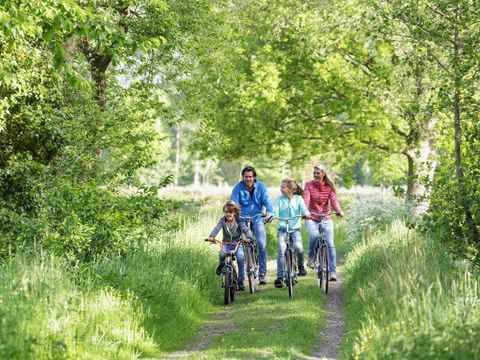 Center Parcs Park Erperheide - Belgisch Limburg