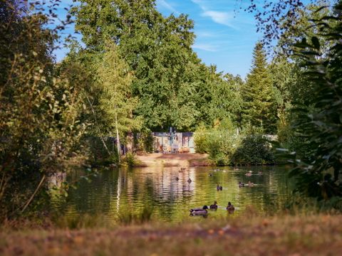 Center Parcs Park Erperheide - Belgisch Limburg - Afbeelding N°53