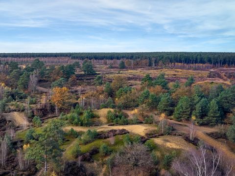 Center Parcs Park Erperheide - Belgisch Limburg - Afbeelding N°4
