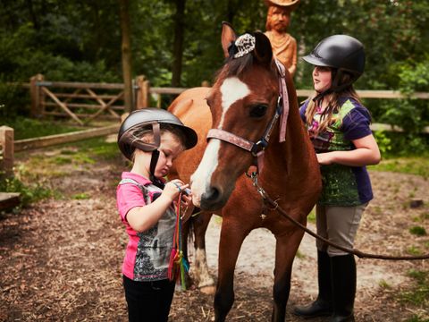 Center Parcs Park Erperheide - Belgisch Limburg - Afbeelding N°23