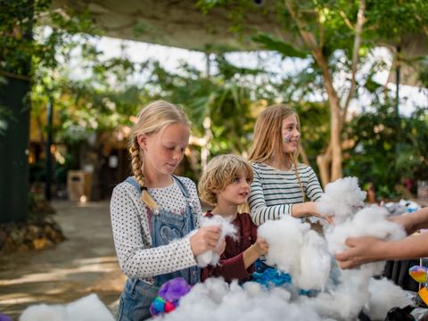Center Parcs Park Erperheide - Belgisch Limburg - Afbeelding N°14