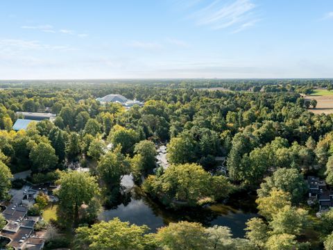 Center Parcs Park Erperheide - Belgisch Limburg - Afbeelding N°49