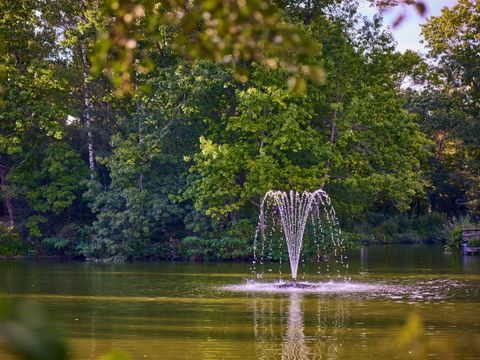Center Parcs Park Erperheide - Belgisch Limburg - Afbeelding N°46