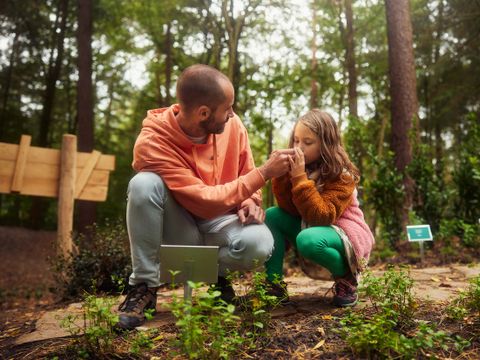 Center Parcs Park Erperheide - Belgisch Limburg