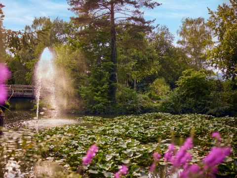 Center Parcs Park Erperheide - Belgisch Limburg - Afbeelding N°47