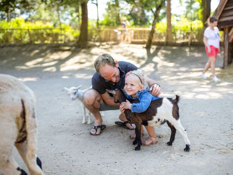 Center Parcs Park Erperheide - Belgisch Limburg - Afbeelding N°30