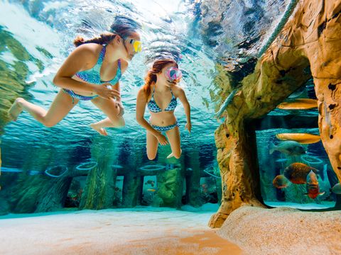 Center Parcs Park Erperheide - Belgisch Limburg