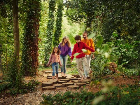 Center Parcs Park Erperheide - Belgisch Limburg - Afbeelding N°10