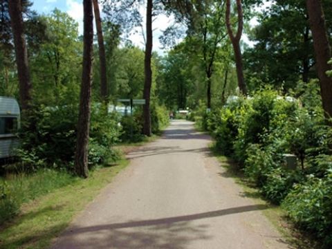 Buitencentrum Hessenheem - Hof von Twente - Afbeelding N°8