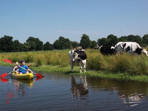 Buitenplaats Gerner - Dalfsen - Afbeelding N°23