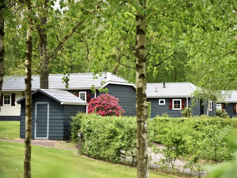 Buitenplaats Gerner - Dalfsen - Afbeelding N°16