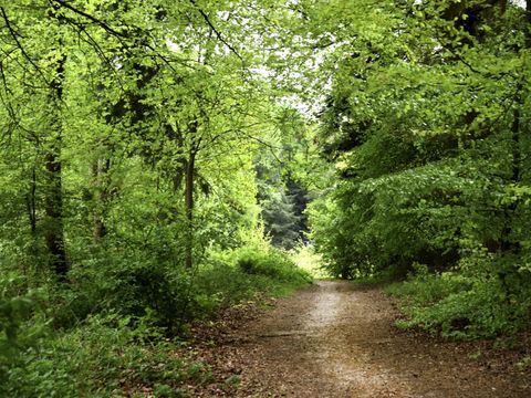 Buitenplaats Gerner - Dalfsen - Afbeelding N°20