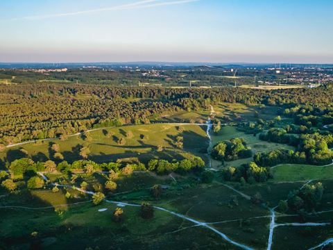 EuroParcs Brunssummerheide - Brunssum - Afbeelding N°41