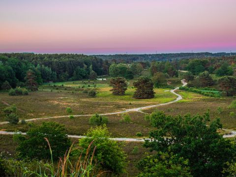 EuroParcs Brunssummerheide - Brunssum - Afbeelding N°43