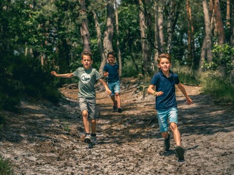 EuroParcs Brunssummerheide - Brunssum - Afbeelding N°13