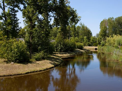 EuroParcs Buitenhuizen - Velsen - Afbeelding N°34