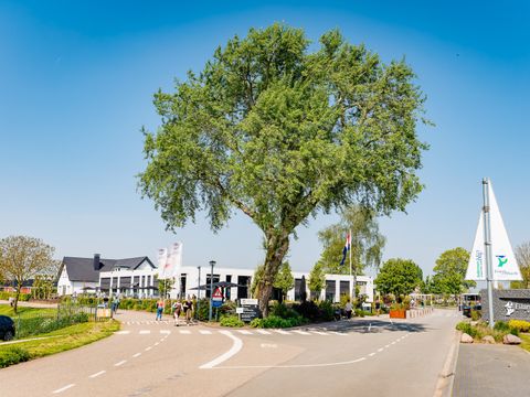 Vakantiepark Eiland van Maurik - Buren - Afbeelding N°18