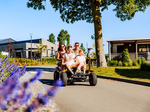 Vakantiepark Eiland van Maurik - Buren - Afbeelding N°56