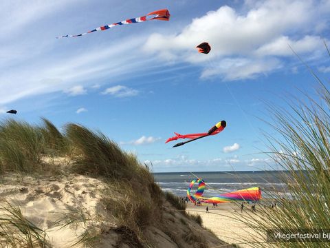 Residentie Californië - Texel - Afbeelding N°9