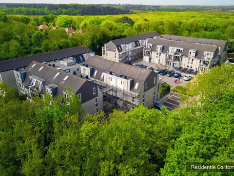 Residentie Californië - Camping Texel - Afbeelding N°2