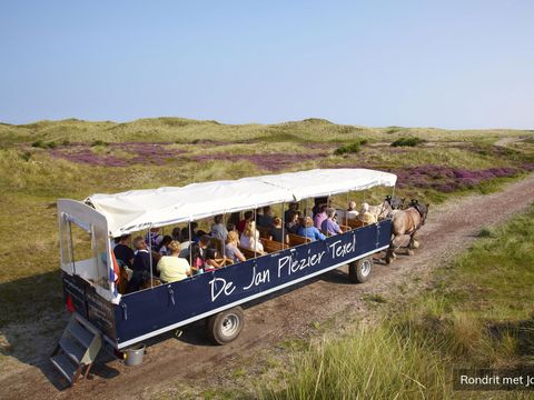 Residentie Californië - Texel - Afbeelding N°8
