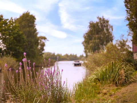 Center Parcs Parc Sandur - Emmen - Afbeelding N°57