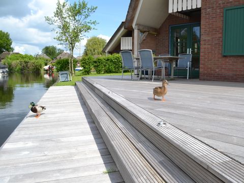 Waterpark Belterwiede - Steenwijkerland - Afbeelding N°2