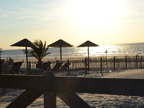 Strandpark Vlugtenburg aan Zee - Westland - Afbeelding N°41
