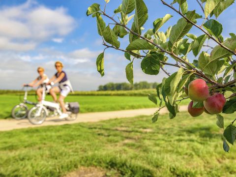 Holiday Suites Limburg - Belgisch Limburg