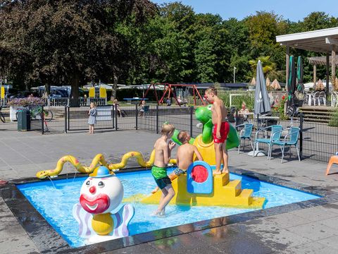 Molecaten Park Waterbos - Westvoorne - Afbeelding N°2