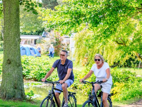 Molecaten Park Waterbos - Westvoorne