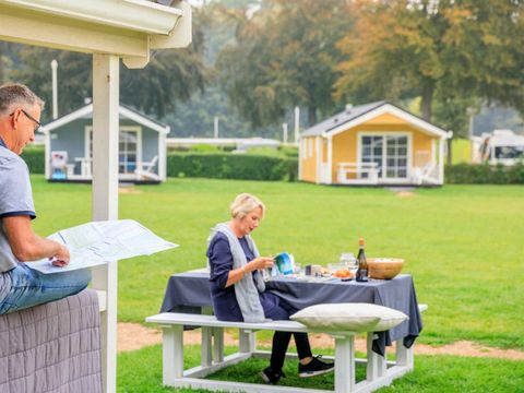 Molecaten Park Waterbos - Westvoorne - Afbeelding N°3