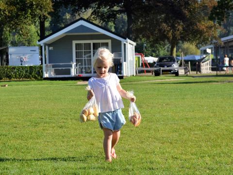 Molecaten Park Waterbos - Westvoorne