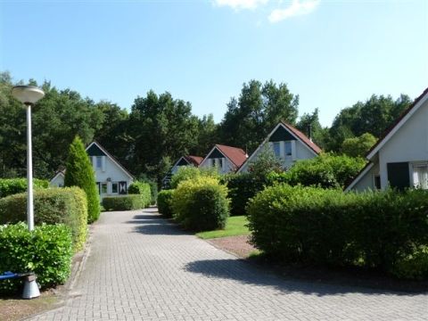 Bungalowpark Het Bosmeer - Weststellingwerf - Afbeelding N°13