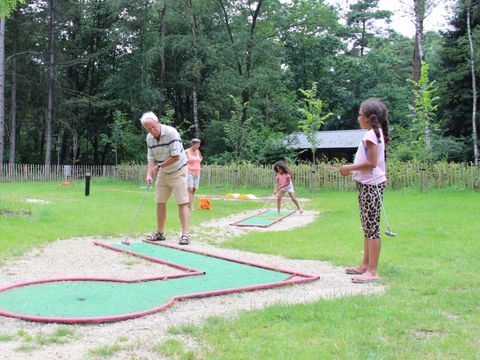 Molecaten Park Landgoed Ginkelduin - Utrechtse Heuvelrug - Afbeelding N°25