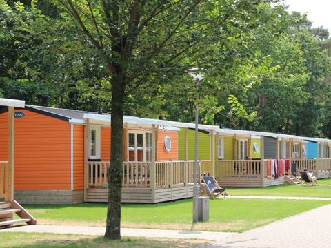 Molecaten Park Bosbad Hoeven - Halderberge - Afbeelding N°15