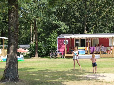 Molecaten Park Bosbad Hoeven - Halderberge - Afbeelding N°17