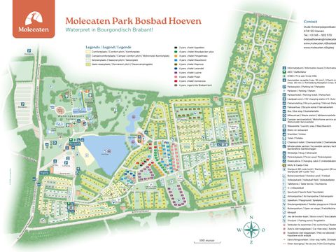 Molecaten Park Bosbad Hoeven - Halderberge - Afbeelding N°21