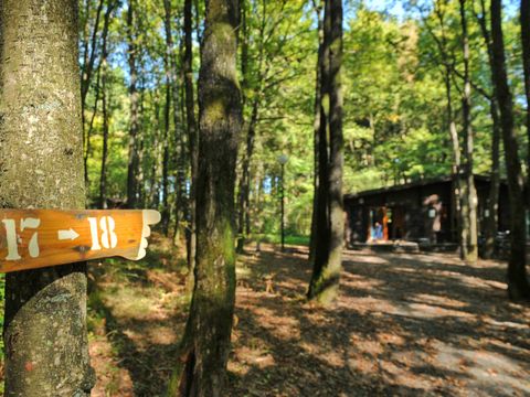 Village de Vacances d Oignies - Henegouwen - Afbeelding N°10