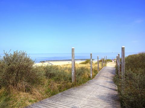 EuroParcs Schoneveld - Sluis - Afbeelding N°31