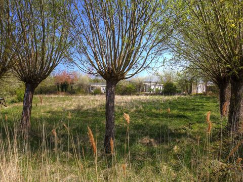 EuroParcs Schoneveld - Sluis - Afbeelding N°30