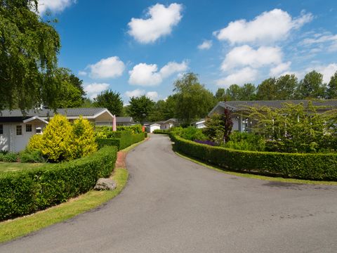 EuroParcs Molengroet - Langedijk - Afbeelding N°29
