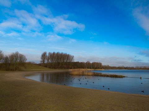 EuroParcs Molengroet - Langedijk - Afbeelding N°39
