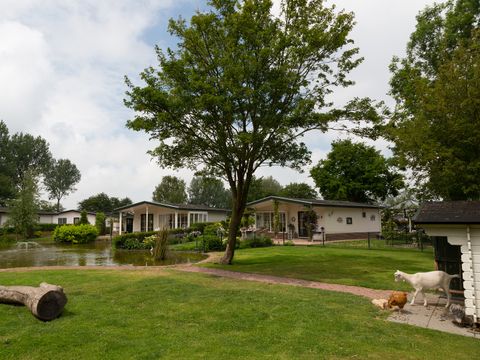 EuroParcs Molengroet - Langedijk - Afbeelding N°30