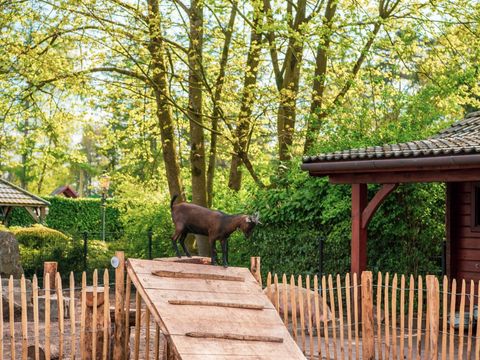 EuroParcs De Achterhoek - Lochem - Afbeelding N°27
