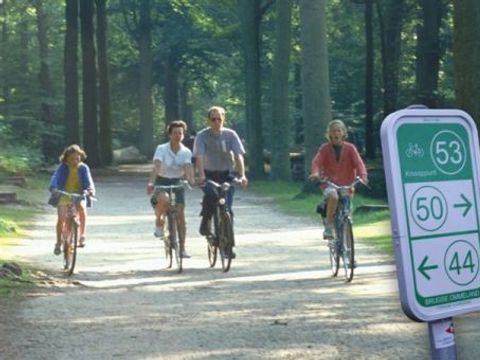 Recreatiepark Klein Strand - West-Vlaanderen - Afbeelding N°9