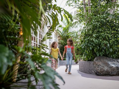 Center Parcs Park Zandvoort - Zandvoort - Afbeelding N°54