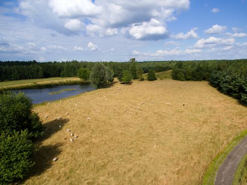 Center Parcs Limburgse Peel - Horst an der Maas - Afbeelding N°20